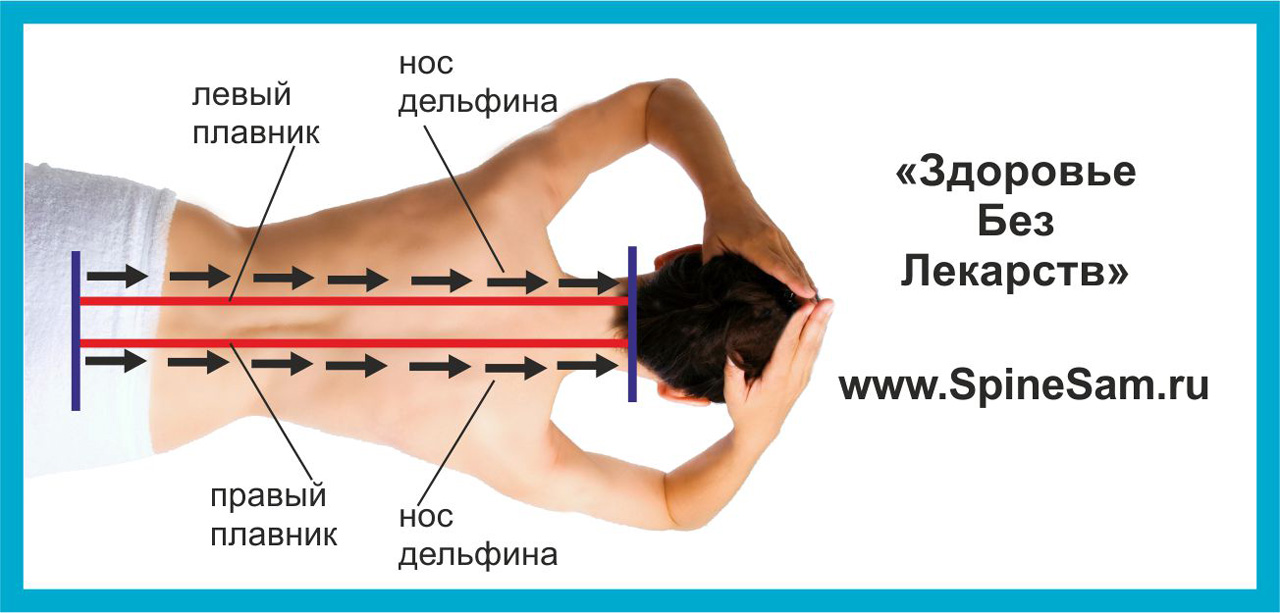 Массажер Дельфин - Работаем с околопозвоночными мышцами